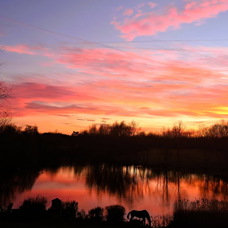 Bild från Lakeland Fishery av Susan B. (2025-06-13)
