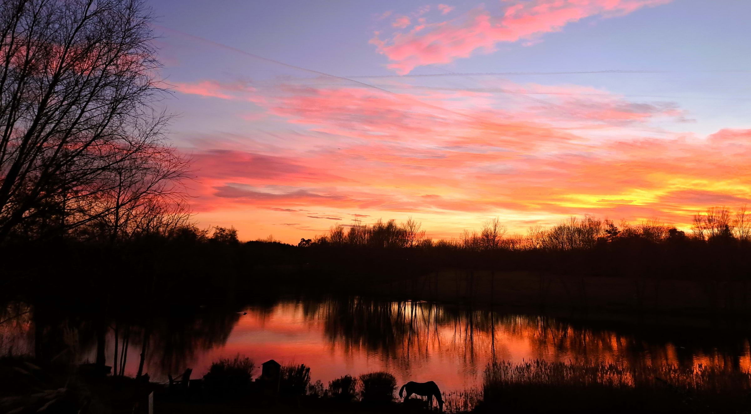 Bild från Lakeland Fishery av Susan B. (2025-06-13)