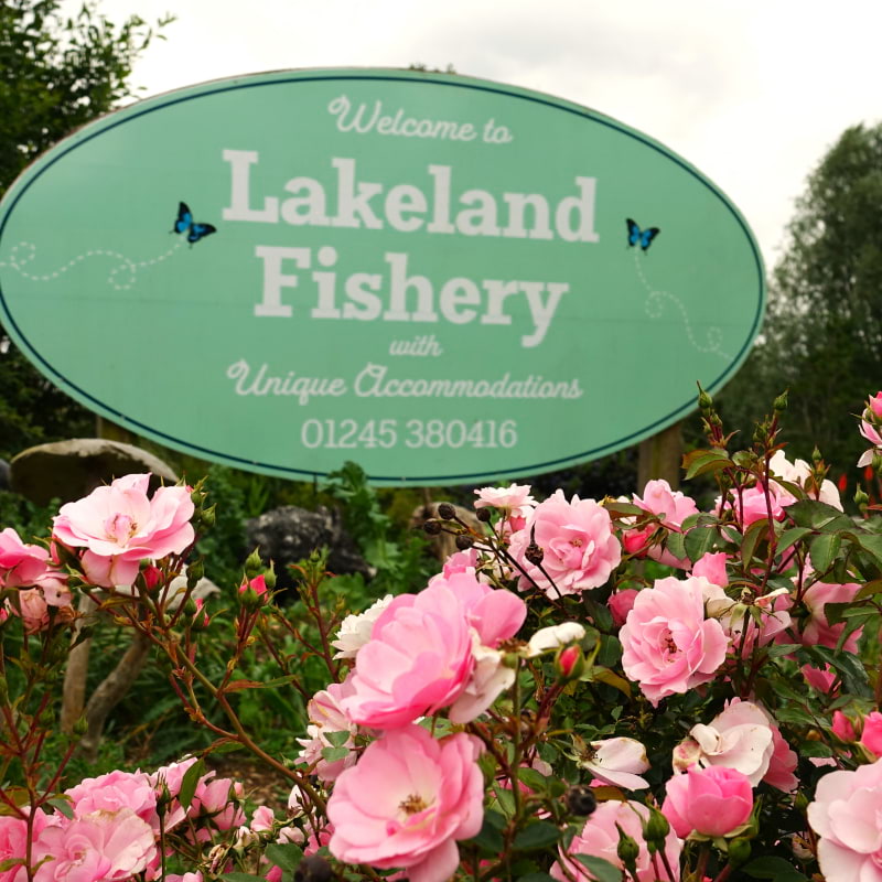 Bild från Lakeland Fishery av Susan B. (2025-06-13)