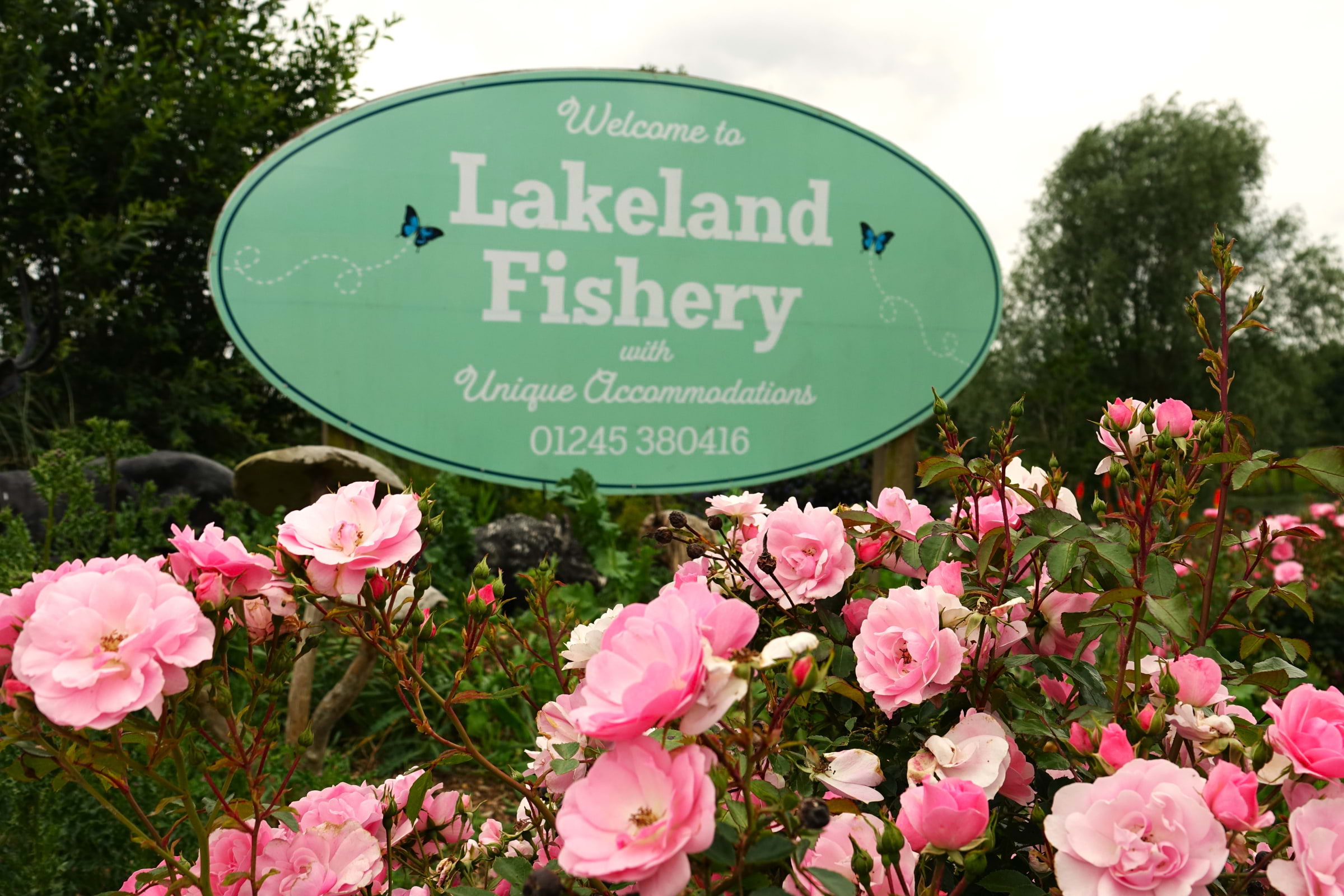 Bild från Lakeland Fishery av Susan B. (2025-06-13)