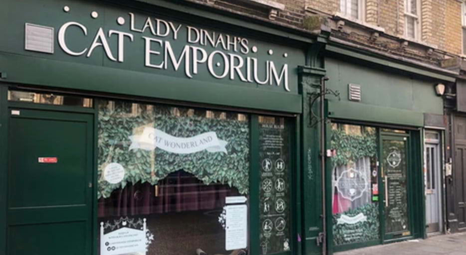 Lady Dinah's Cat Emporium – Cafés