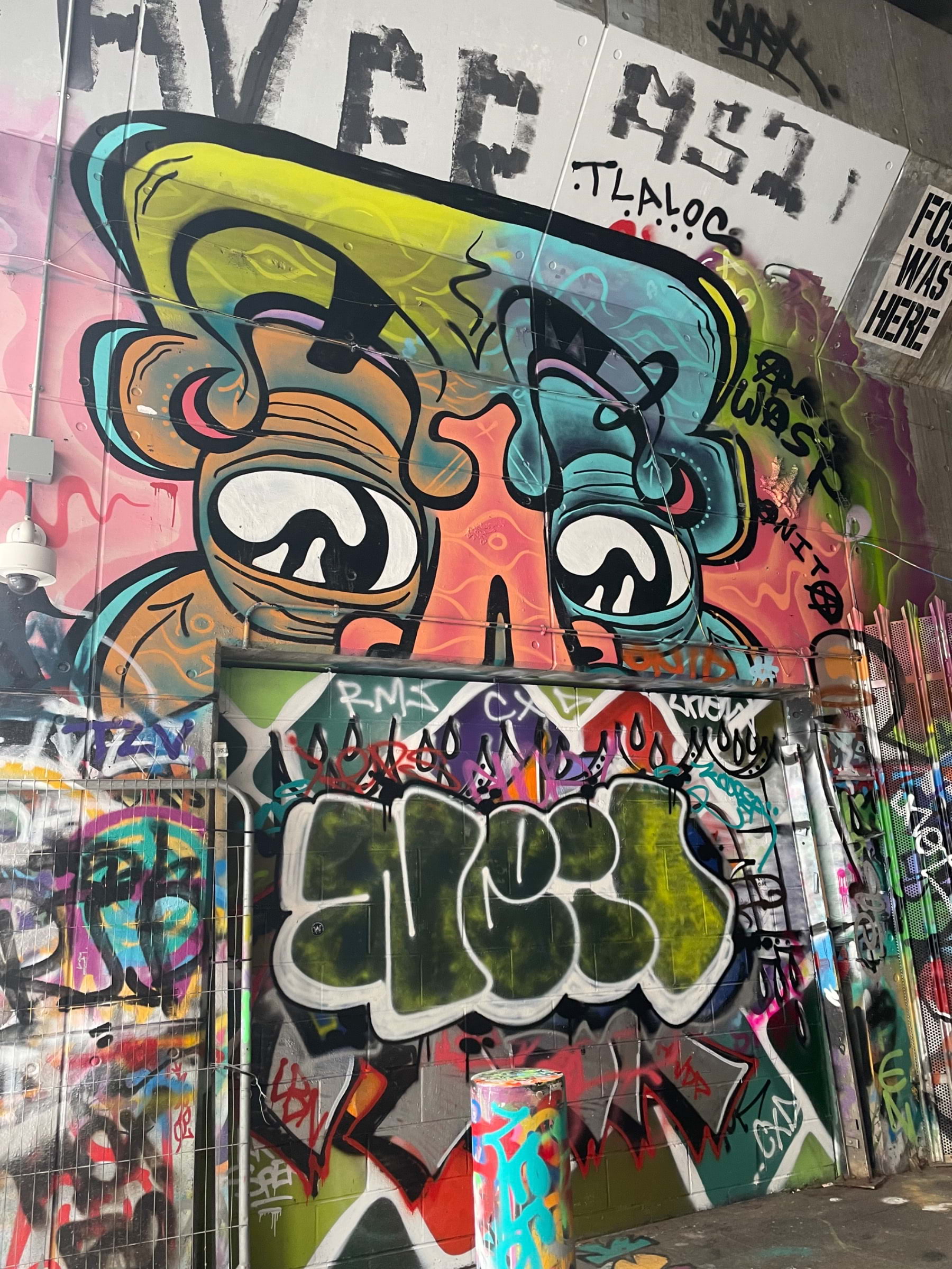 Photo from Leake Street Arches by Tamsin S. (29/02/2024)