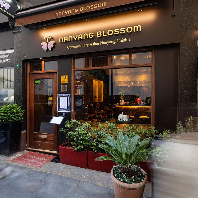 Nanyang Blossom