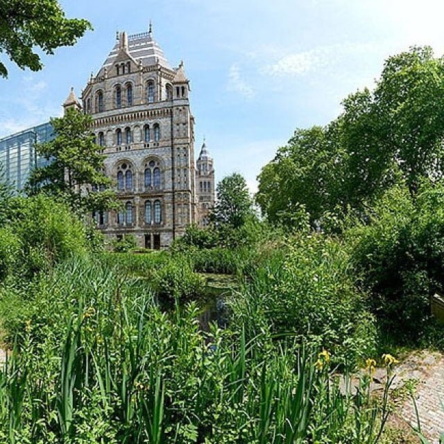 Natural History Museum