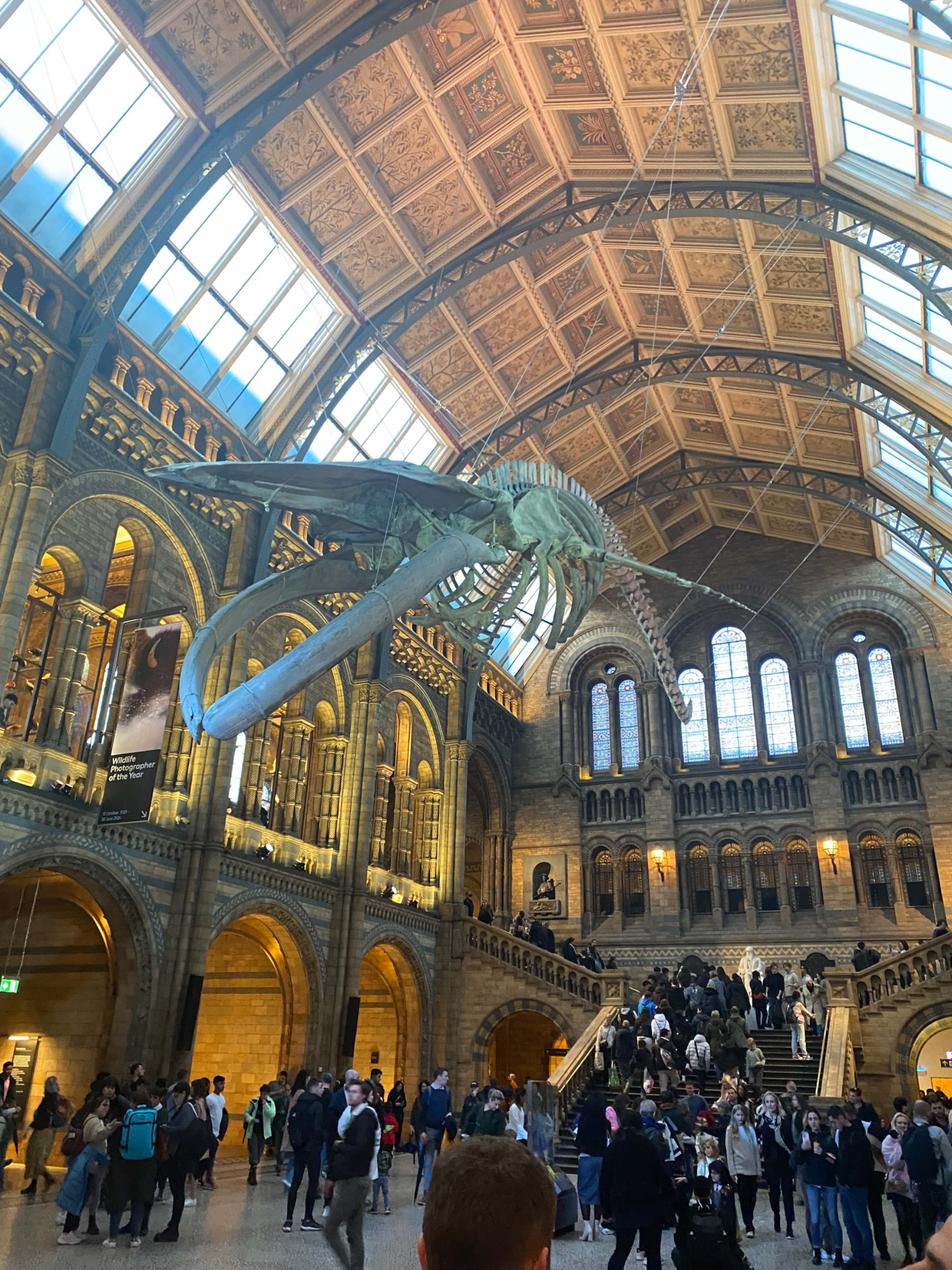 Photo from Natural History Museum by Daniel S. (30/10/2023)