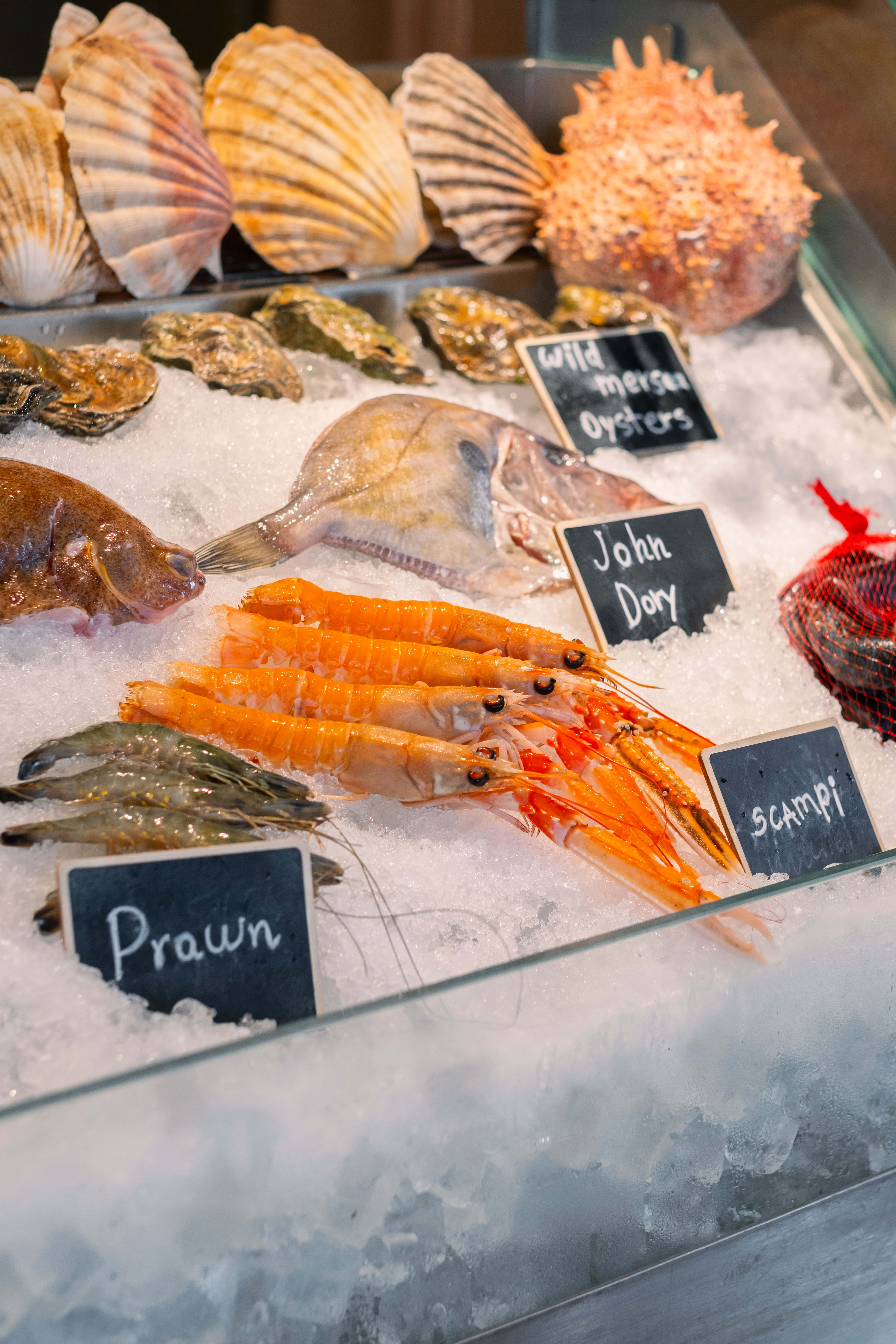 Osteria del Mare – Lunch in Central London