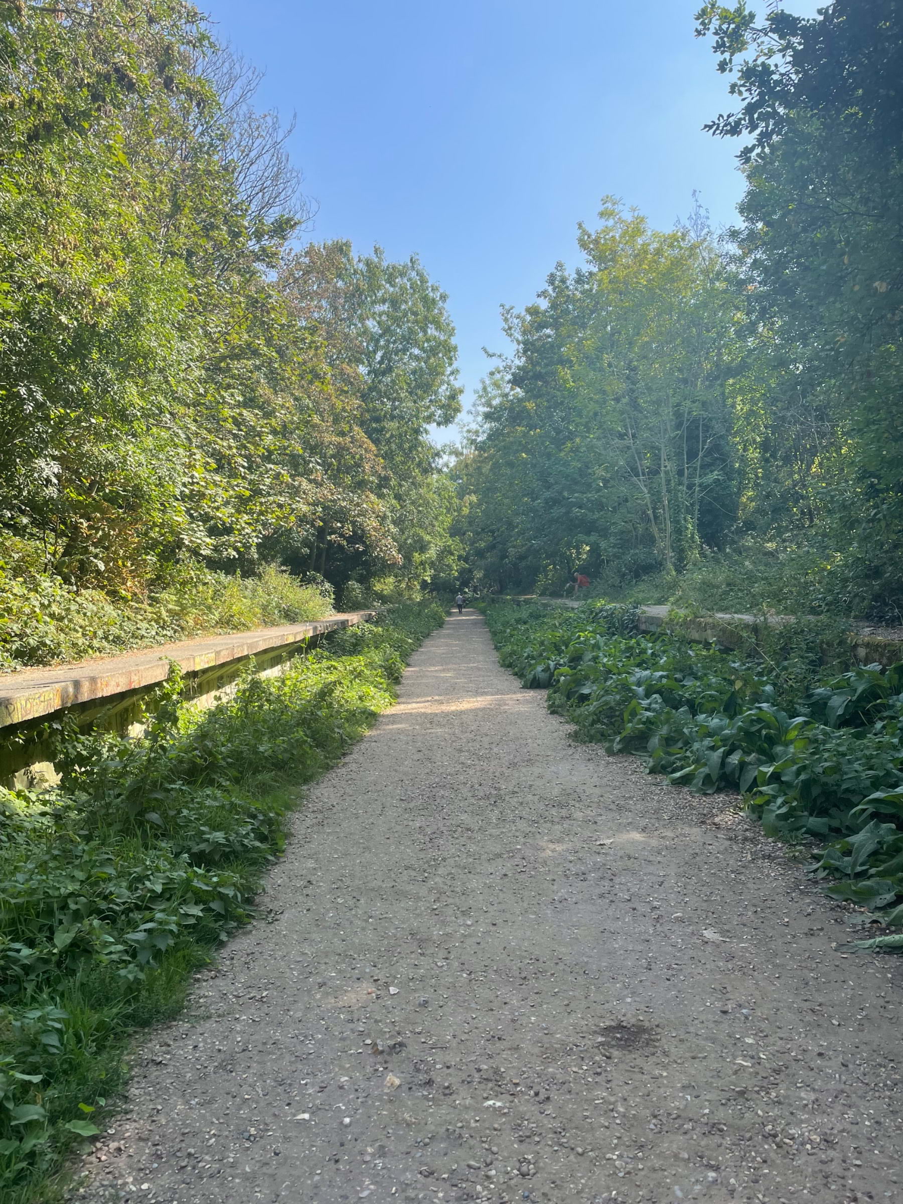 Photo from Parkland Walk by Tamsin S. (20/09/2023)