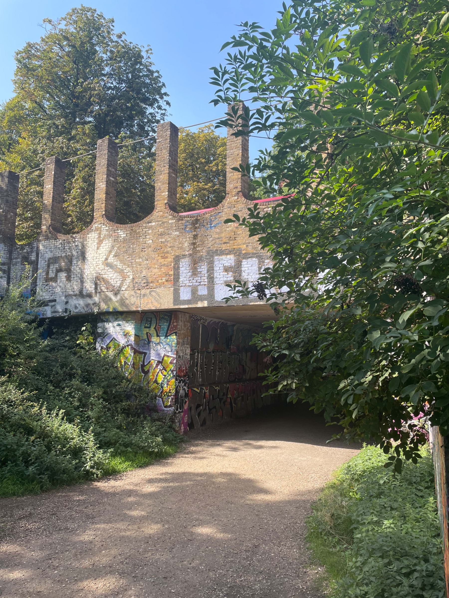 Photo from Parkland Walk by Tamsin S. (20/09/2023)