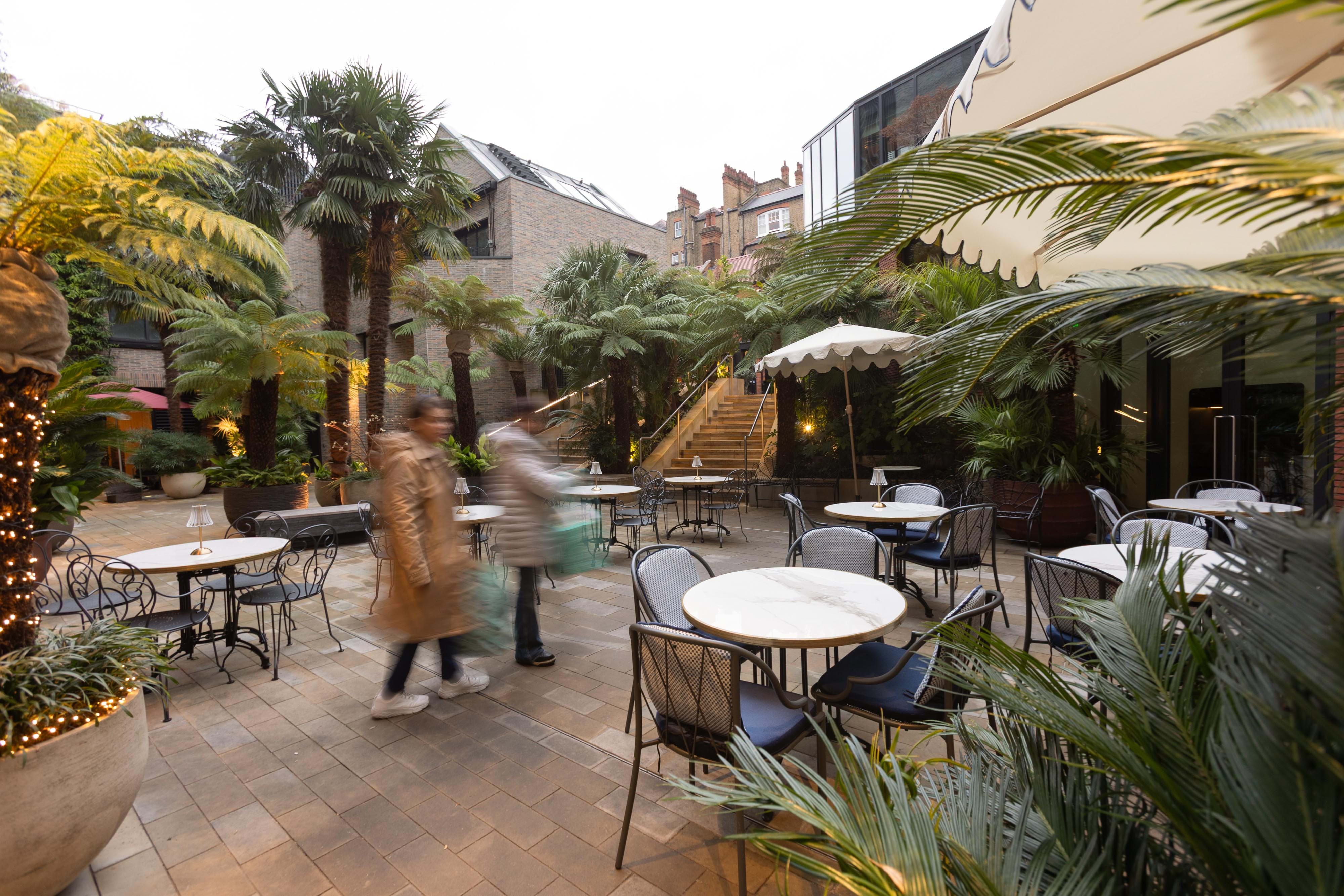 Three Darlings – Signature dishes