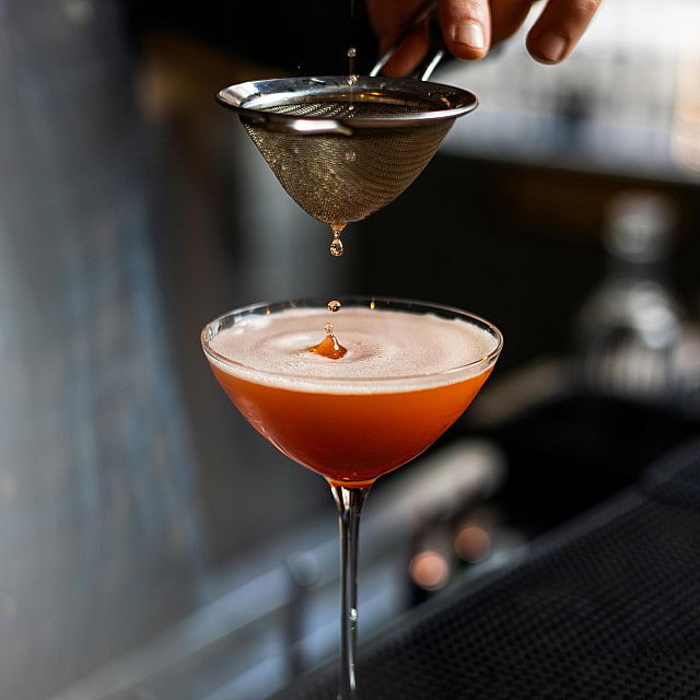 The Italian Greyhound