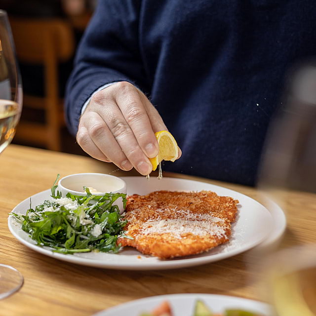 The Italian Greyhound