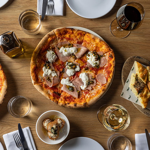 The Italian Greyhound