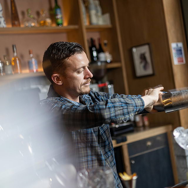 The Italian Greyhound