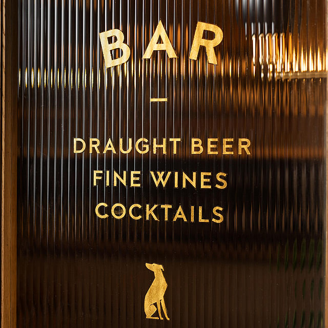 The Italian Greyhound