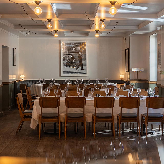 The Italian Greyhound