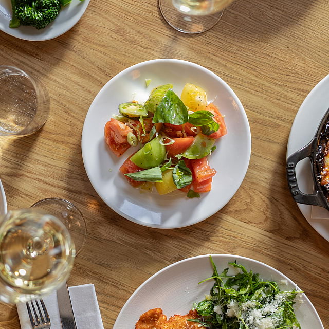 The Italian Greyhound