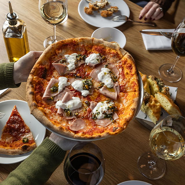 The Italian Greyhound