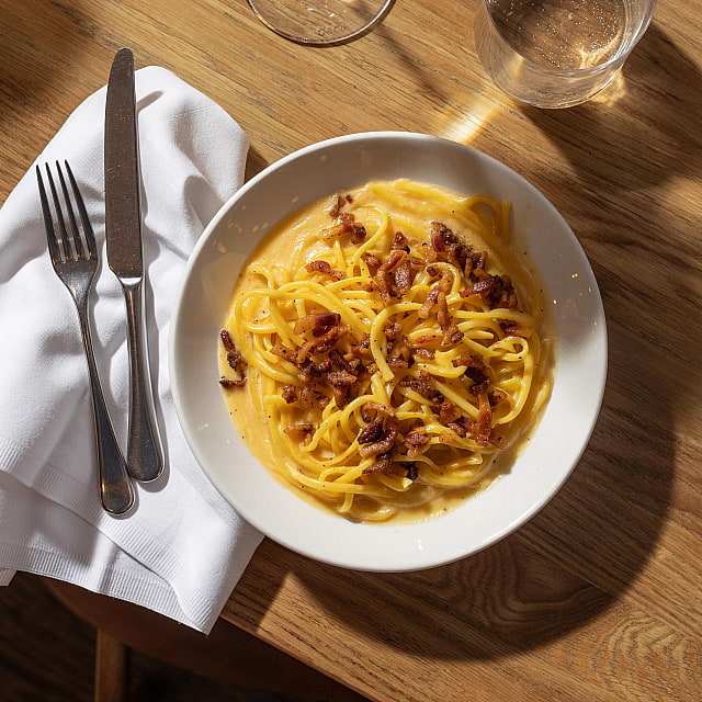 The Italian Greyhound