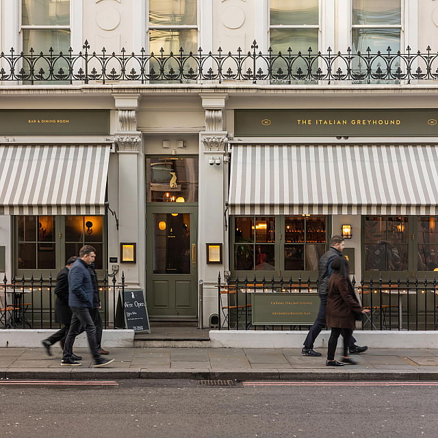 The Italian Greyhound