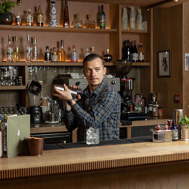 The Italian Greyhound