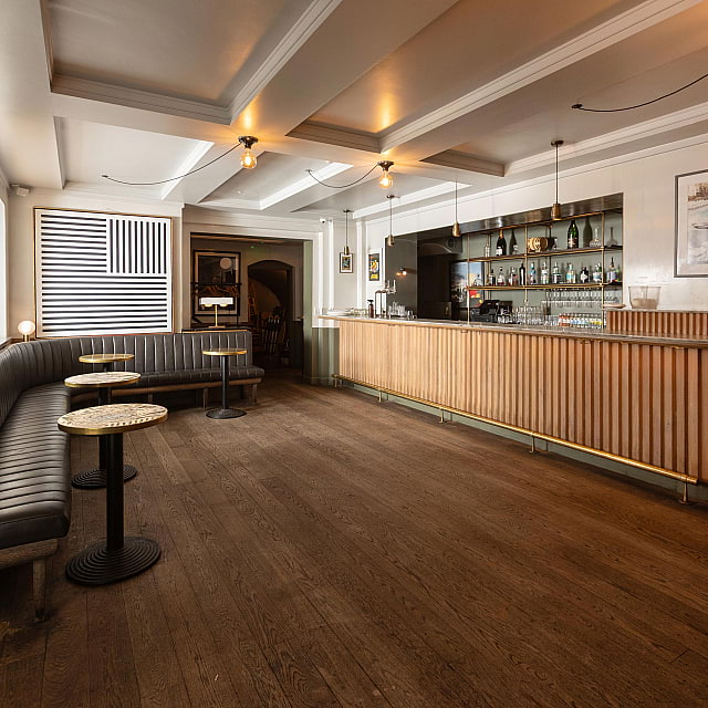 The Italian Greyhound