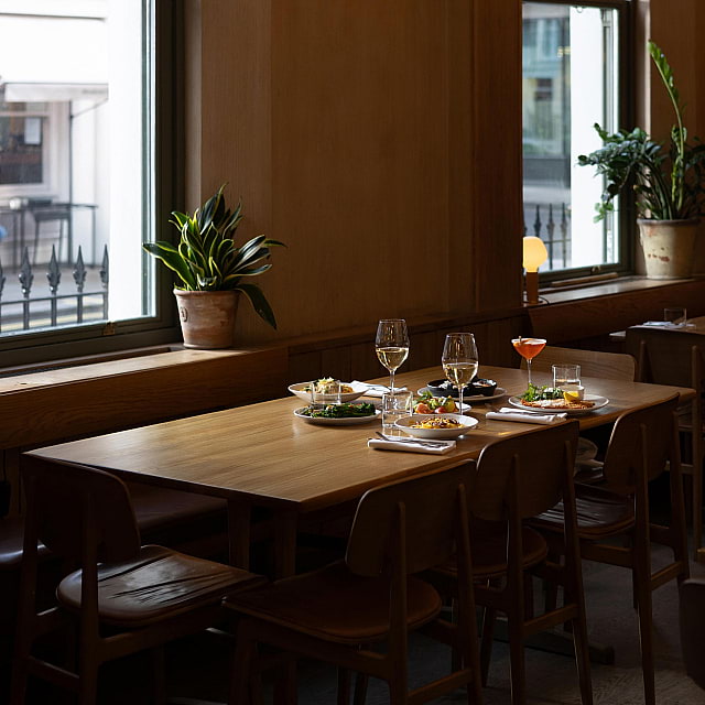 The Italian Greyhound