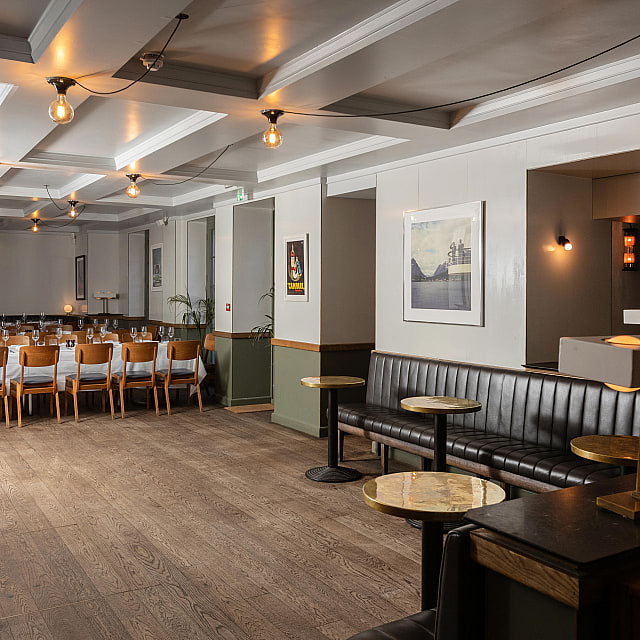 The Italian Greyhound