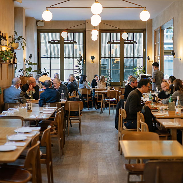 The Italian Greyhound