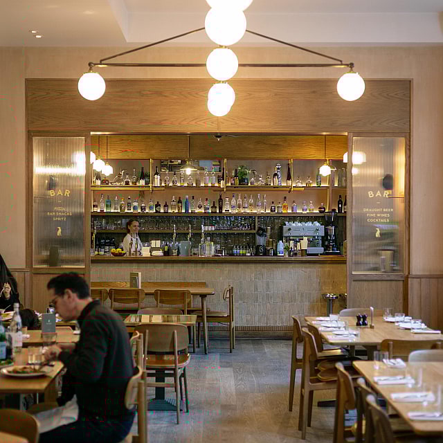 The Italian Greyhound