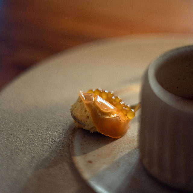 The Water House Project