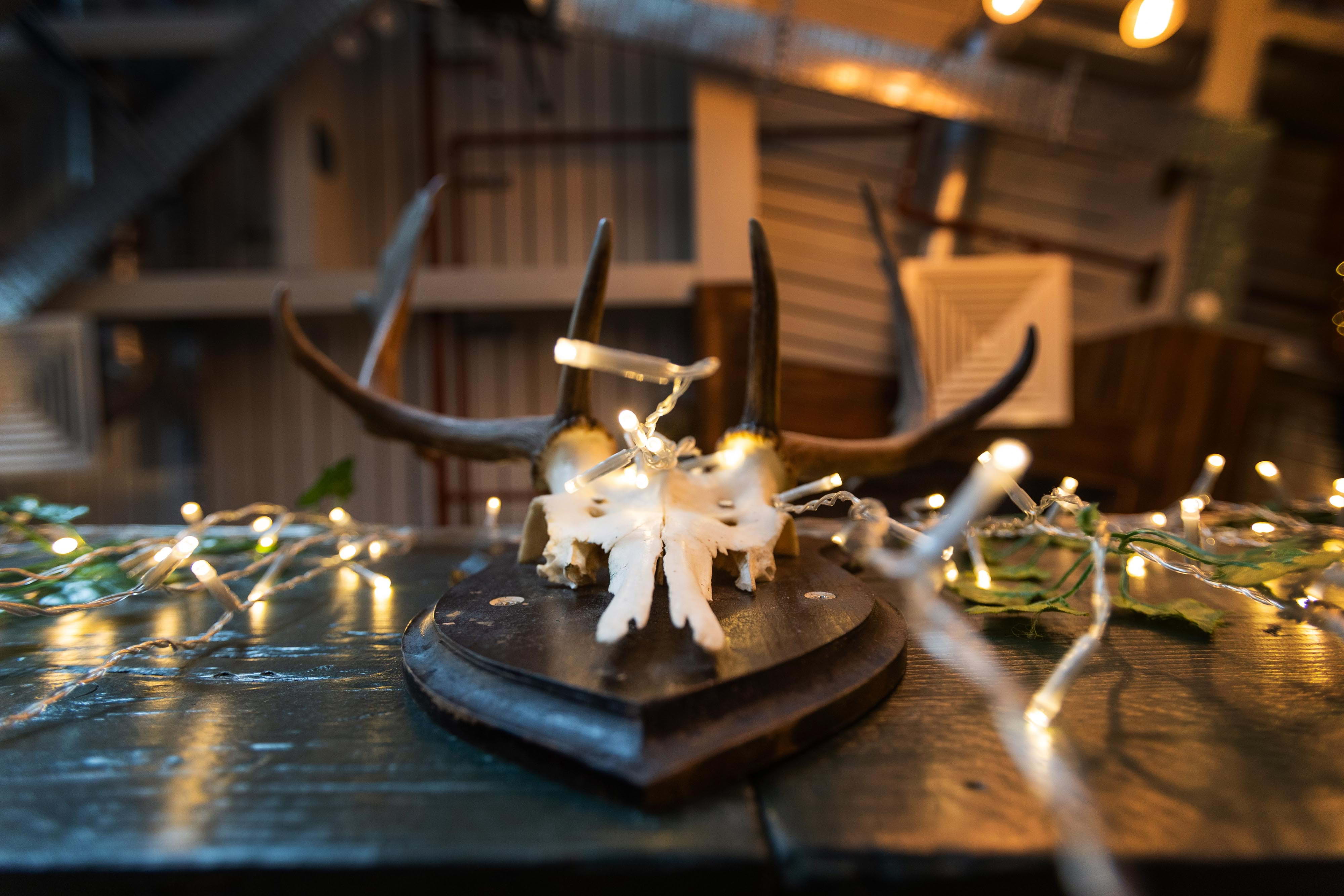 The White Haus – Quirky bars