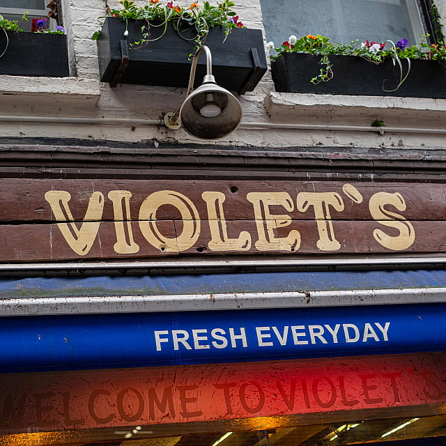 Violet's