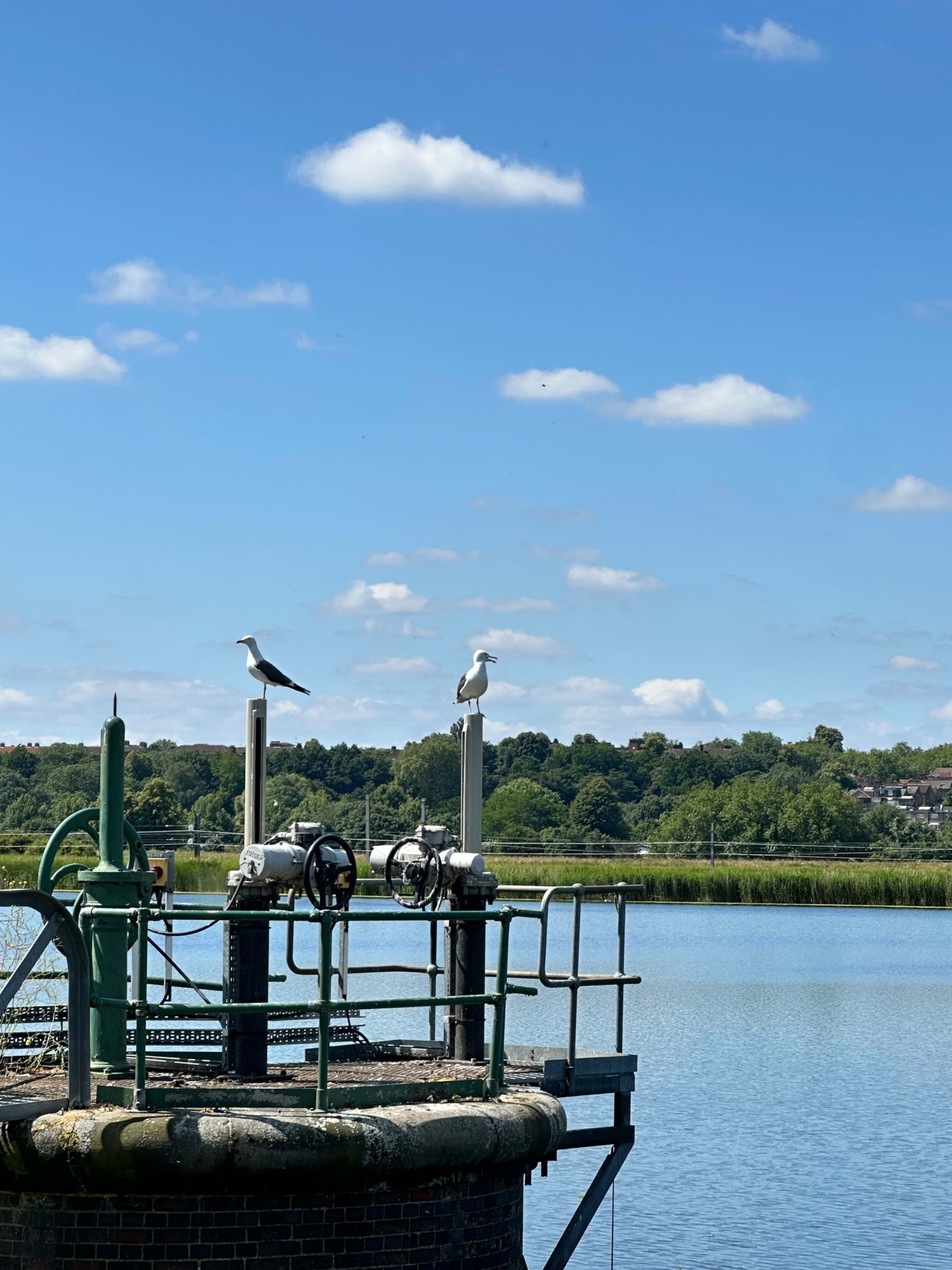 Bild från Walthamstow Wetlands av Daniel S. (2024-06-23)