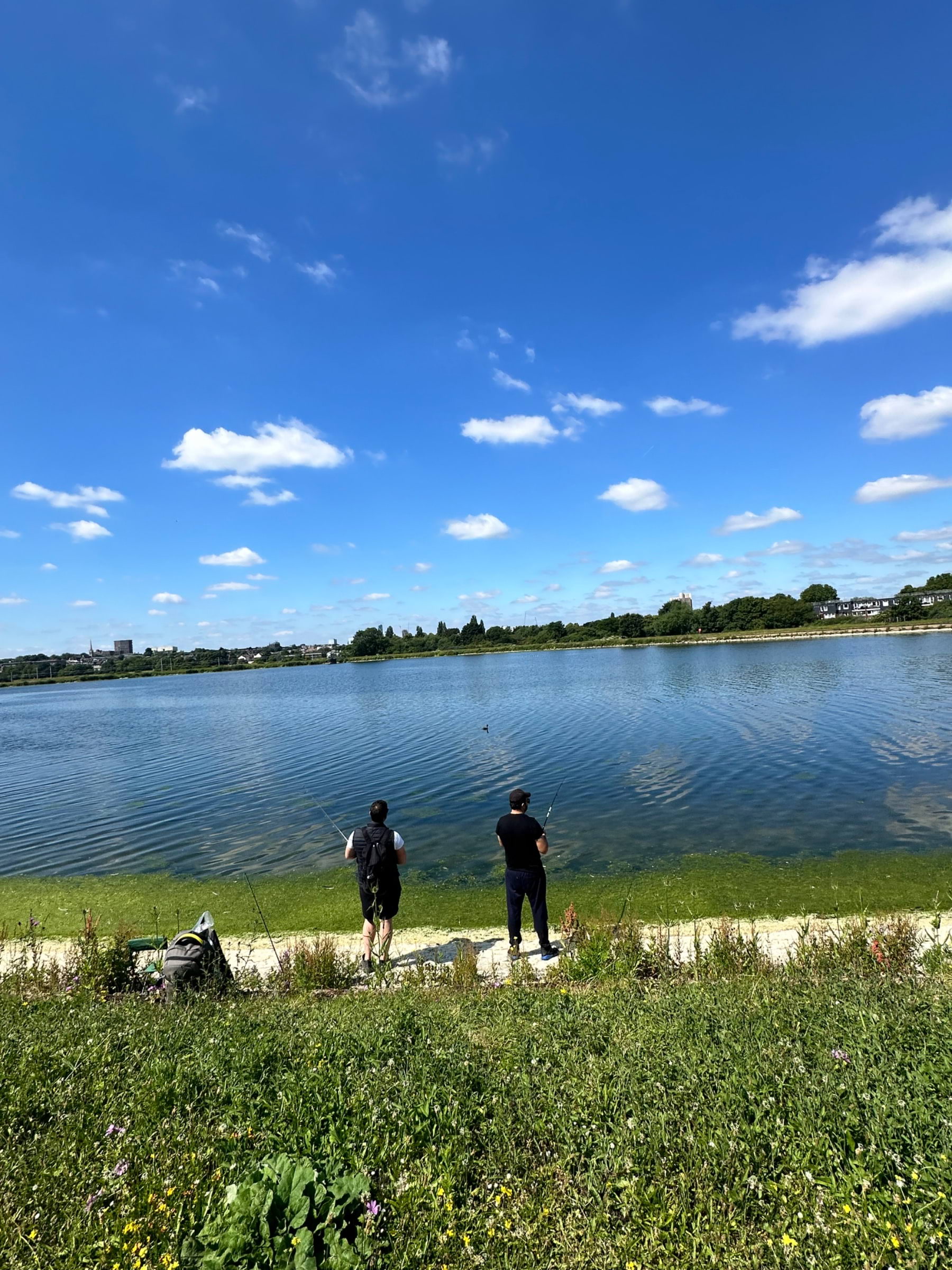 Photo from Walthamstow Wetlands by Daniel S. (23/06/2024)