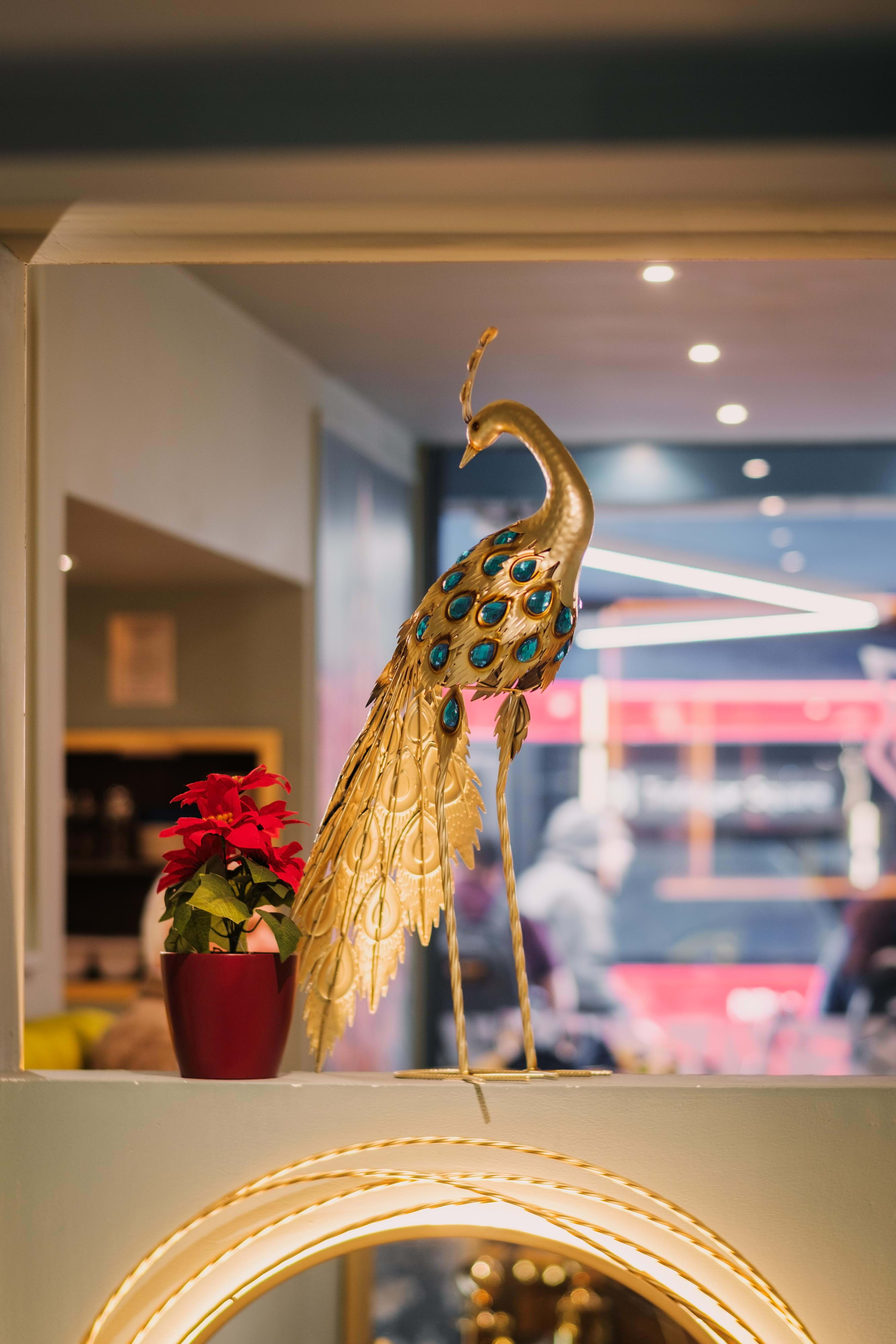 Zoya Grill & Lounge – Brunch