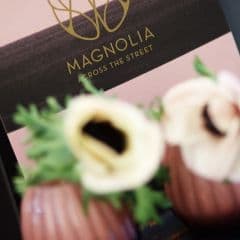 Magnolia Across the Street