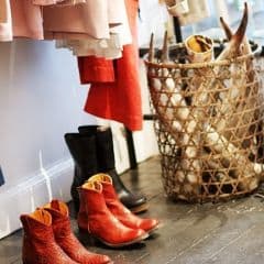 Magnolia Across the Street