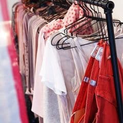 Magnolia Across the Street