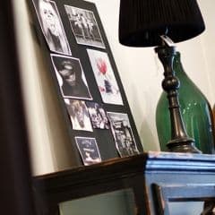 Magnolia Across the Street