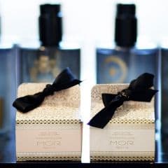 Magnolia Across the Street