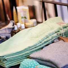 Magnolia Across the Street