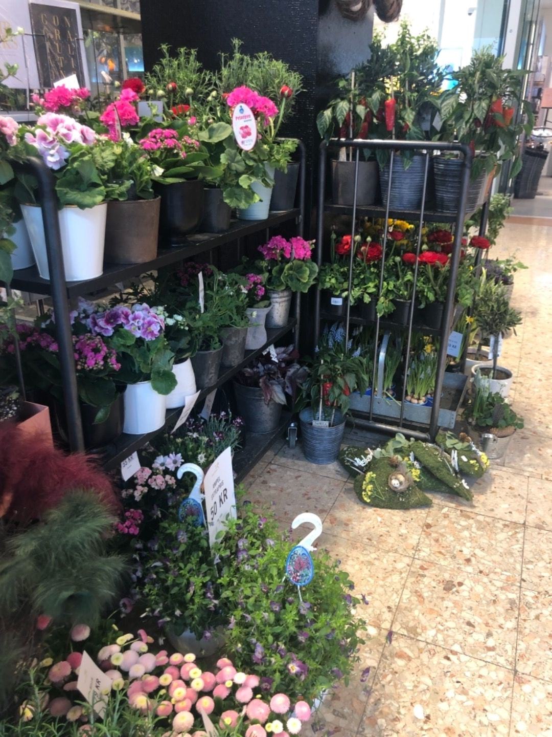 Bild från Mörby Blomsterhandel av Michaela J. (2019-04-15)