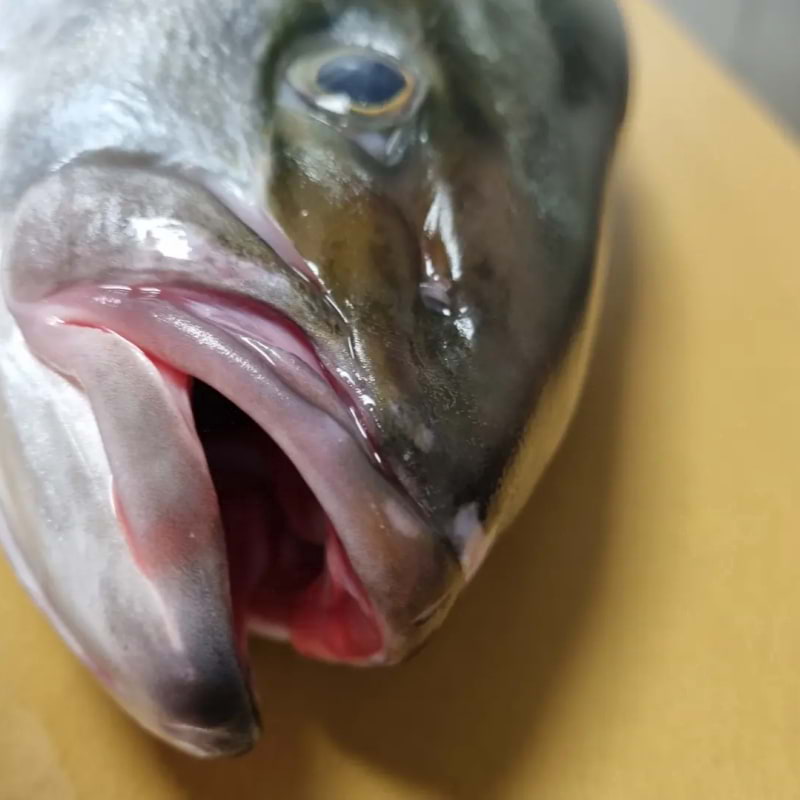 Photo from Aqua Sushi by Ahmad&nbsp;T. (06/12/2025)