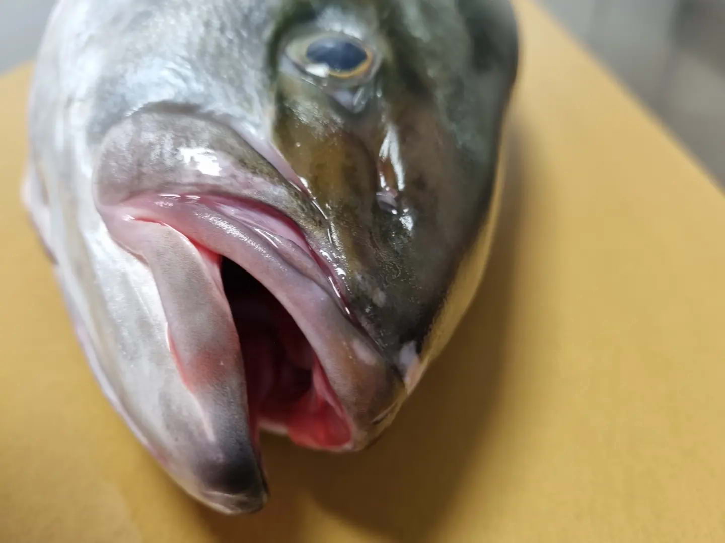 Photo from Aqua Sushi by Ahmad T. (06/12/2025)