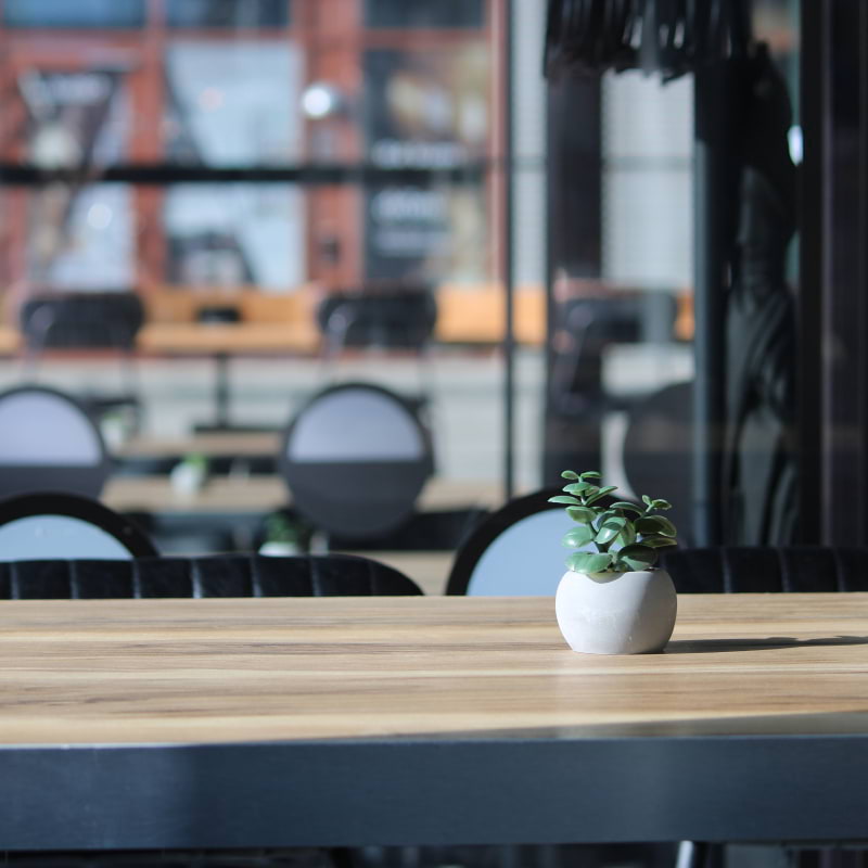 The tables – Photo from Barrelia by Martino F. (13/03/2026)