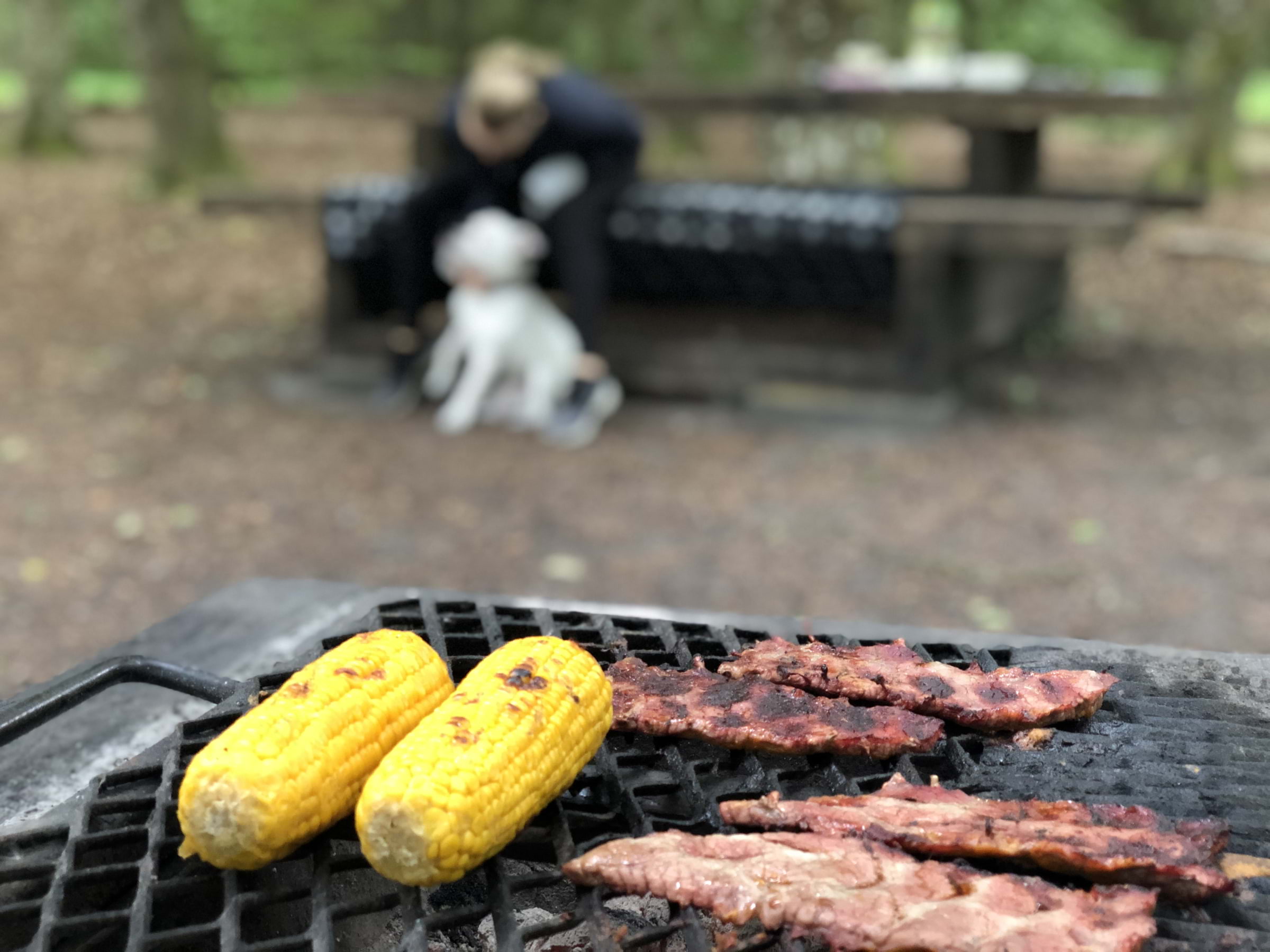 Bild från Ribersborgsstranden av Linda N. (2025-09-05)