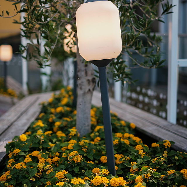 The Terrace