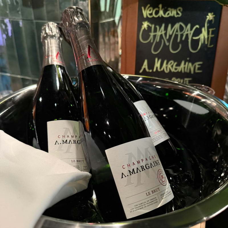 Photo from Troppo by Amru&nbsp;S. (04/01/2026)