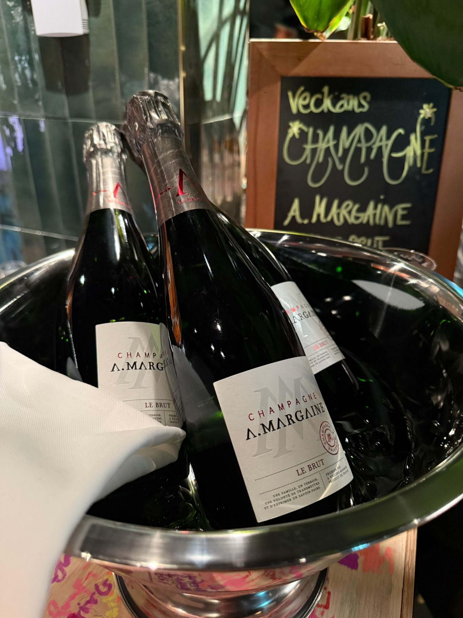 Photo from Troppo by Amru&nbsp;S. (04/01/2026)