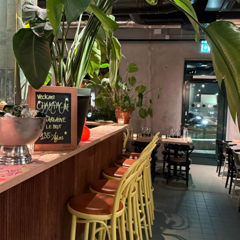 Photo from Troppo by Amru&nbsp;S. (04/01/2026)